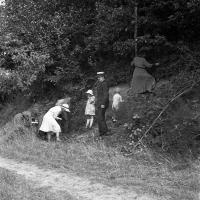 Sorinne-la-longue Cueillette des framboises