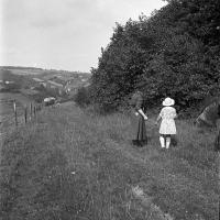 Sorinne-la-longue Cueillette des framboises