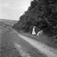 Sorinne-la-longue Cueillette des framboises