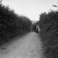 Sorinne-la-longue Cueillette des framboises