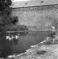 Sorinne-la-longue La mare aux canards