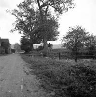  Ferme et chevaux