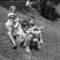 Mürren (Suisse) Pique-nique face à la vallée de Lanterbrunnen le 30 juillet 1958