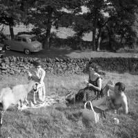 Peak District (Derbyshire) Les moutons s'invitent au pic-nic Peak District (Derbyshire) Les moutons s'invitent au pic-nic
