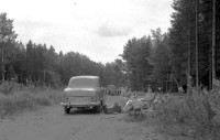  Pique-nique en forêt avec l'Austin (A50 Cambridge)