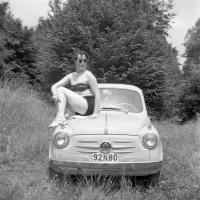  Pin-up sur le capot de la Fiat 600