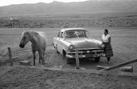 Texas Sedan 1952 