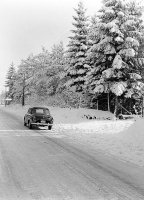   Renault Dauphine