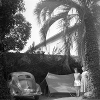 VW Coccinelle 