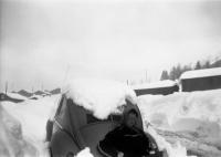  Vw Coccinelle sous la neige