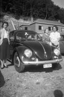  VW beetle
