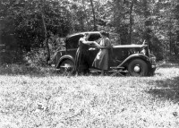 Dans la forêt des Landes Modèle non identifié