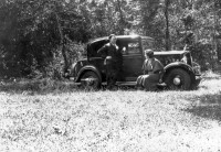 Dans la forêt des Landes Modèle non identifié